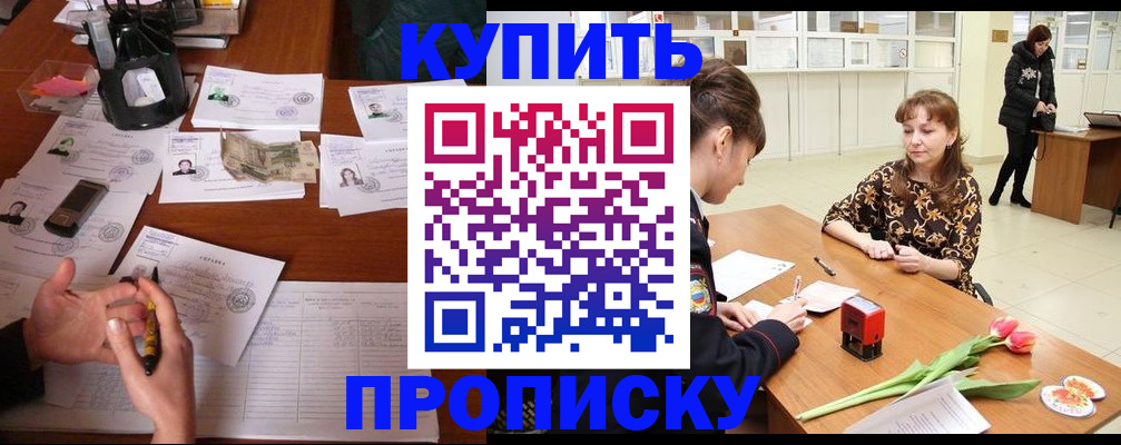 купить прописку в Камчатской области