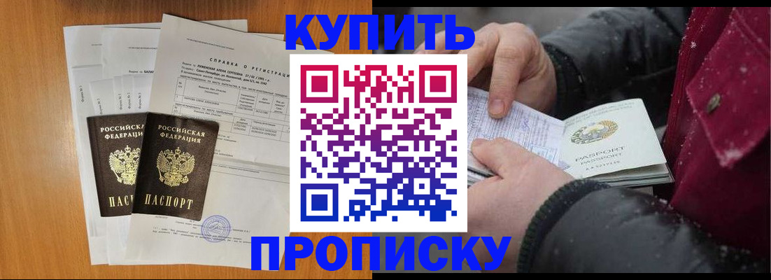 купить прописку в Камчатской области